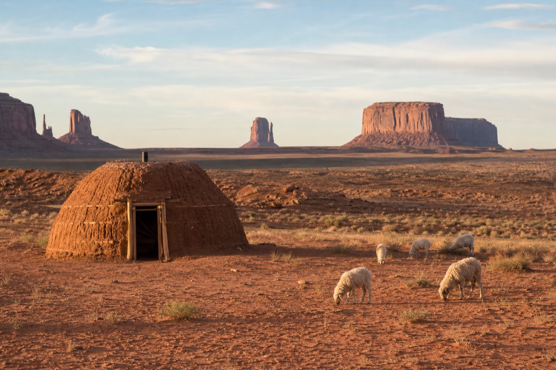 A traditional Navajo hogan and grazing sheep on open red desert land with distant buttes on the horizon